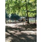 Wildpark_2c_4.jpg